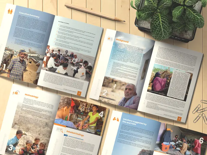 NGOs / International Organizations